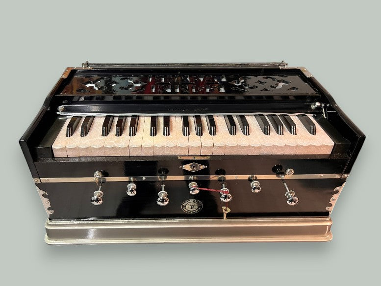 Harmonium Black Silver 7 stop