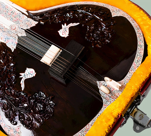 Sitar handcarved wood black